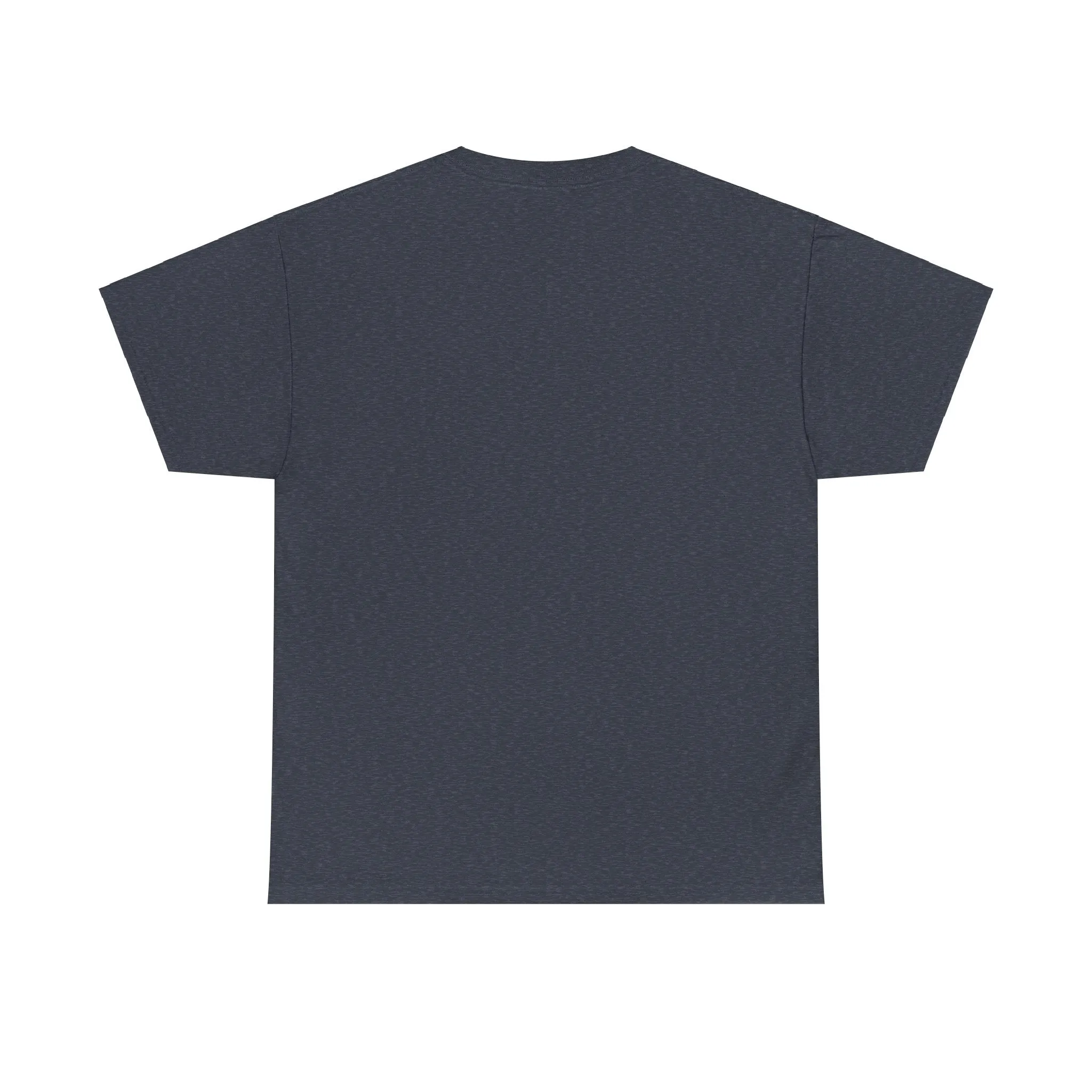 Logo Seeking the Truth Unisex Heavy Cotton Tee - Black Inspirational Graphic T-Shirt