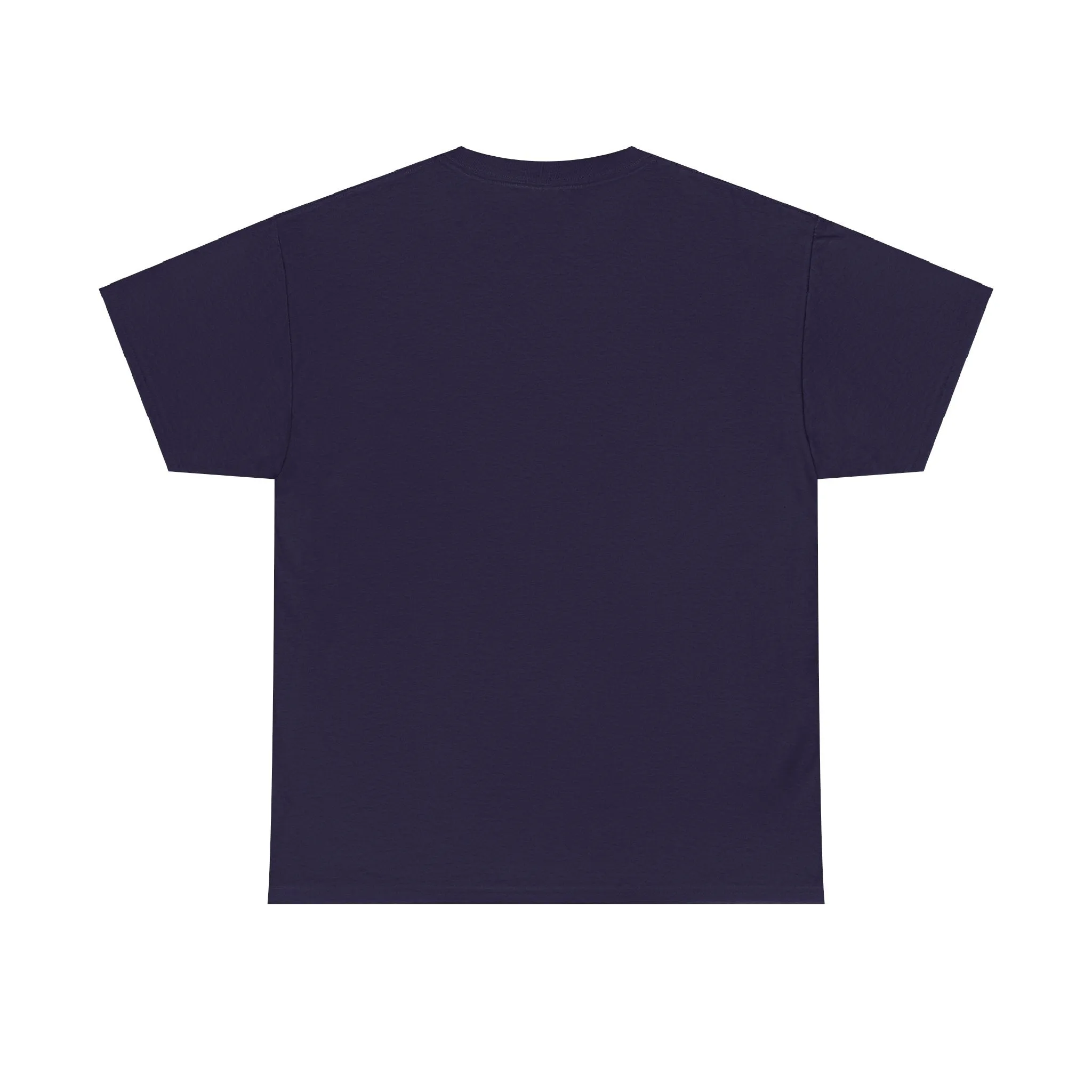 Logo Seeking the Truth Unisex Heavy Cotton Tee - Black Inspirational Graphic T-Shirt
