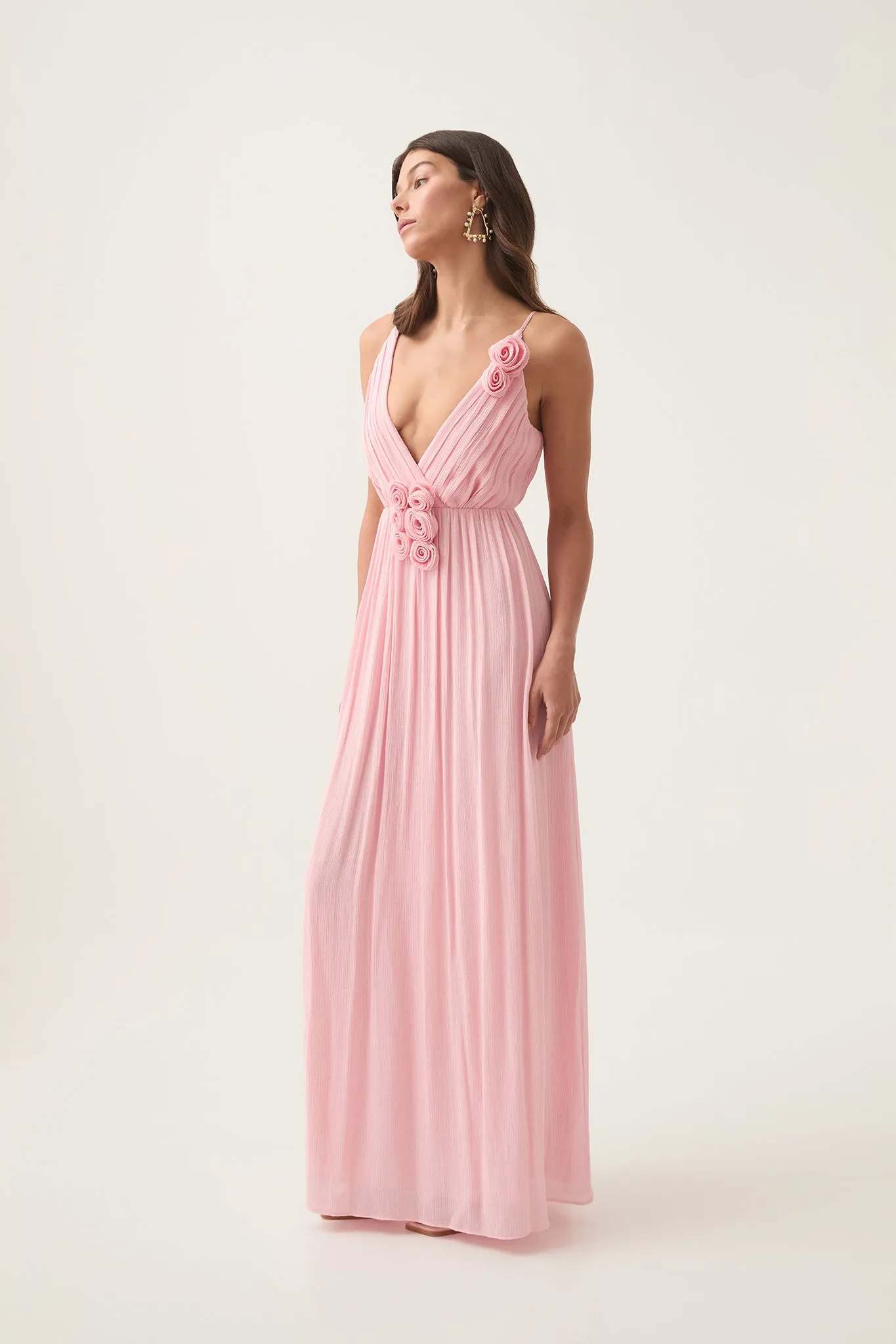 Mercurial Maxi Dress